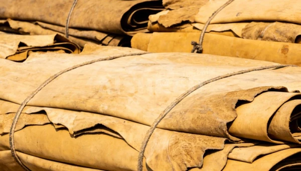 牛皮破碎用什么设备好？高韧性、高纤维废皮革撕碎难题这样破！