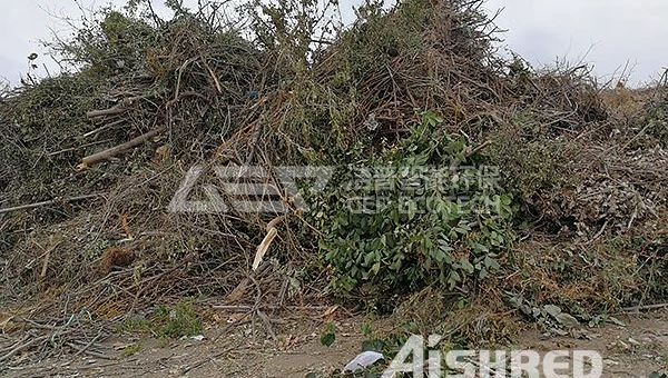 有机垃圾资源化利用典型技术模式及有机垃圾破碎机推荐